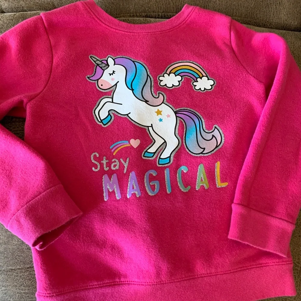 Lot of (2) Little Girl’s Sweatshirts Size 5